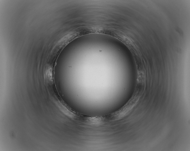 X0000114690238200910211319