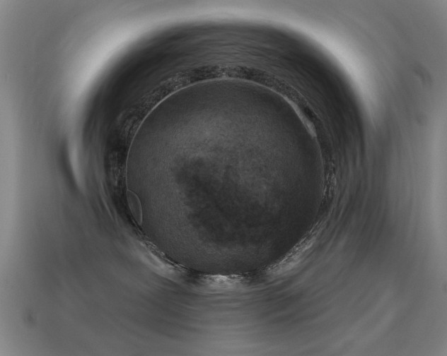 X0000114690239200910211319