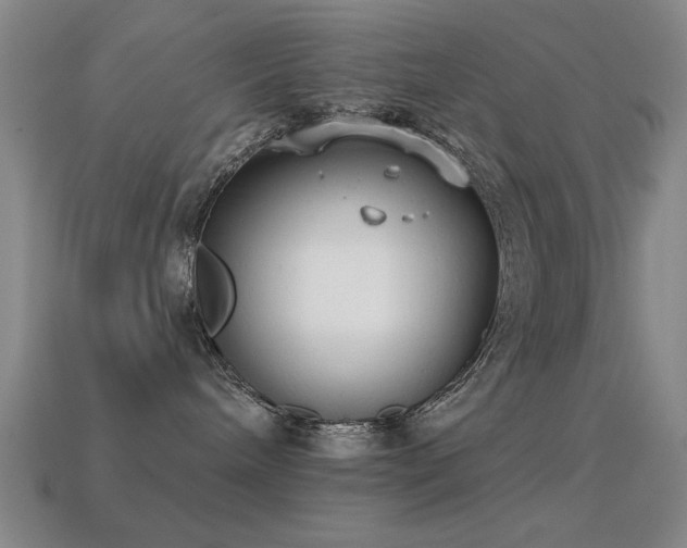 X0000114690240200910211319