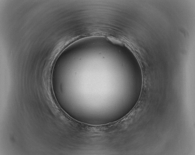X0000114690241200910211318