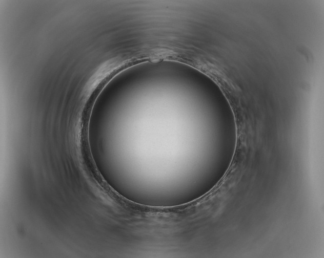 X0000114690242200910211318