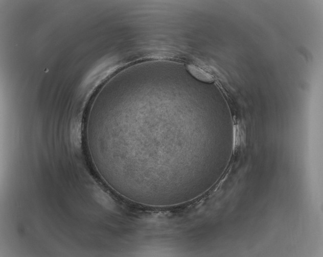 X0000114690243200910211318