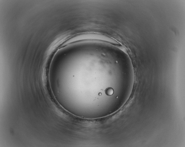 X0000114690245200910211318