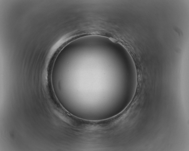 X0000114690246200910211318