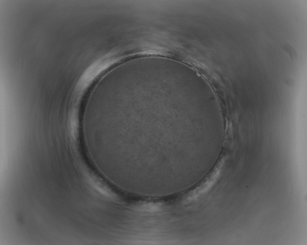 X0000114690247200910211318