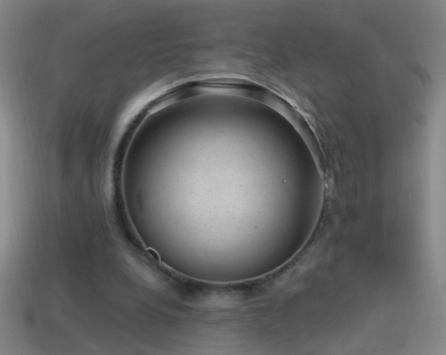 X0000114690248200910211318