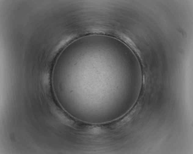 X0000114690249200910211318
