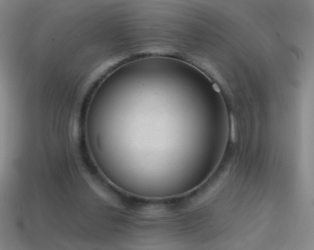 X0000114690252200910211318