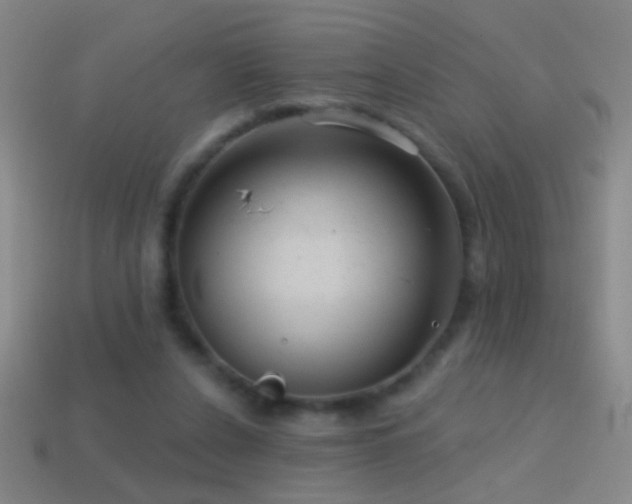 X0000114690256200910211318