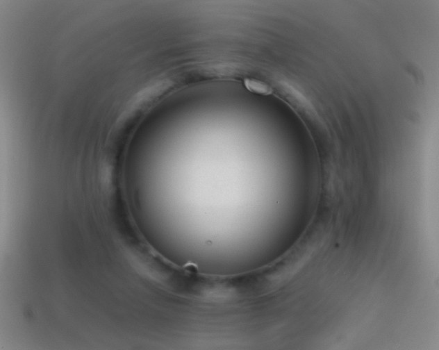 X0000114690258200910211318