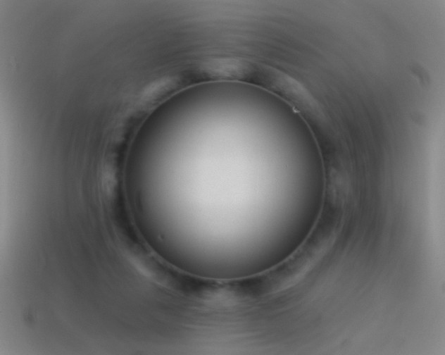 X0000114690259200910211318