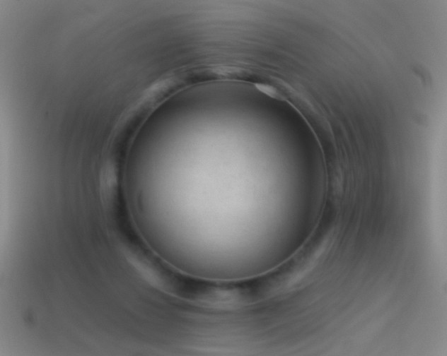 X0000114690260200910211318