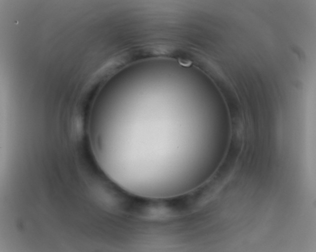 X0000114690262200910211318