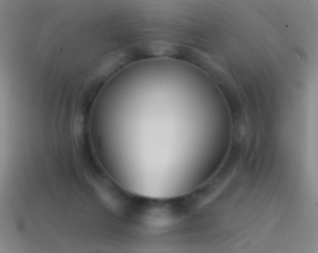 X0000114690263200910211318