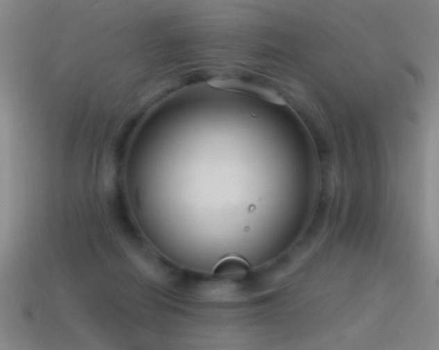 X0000114690266200910211318
