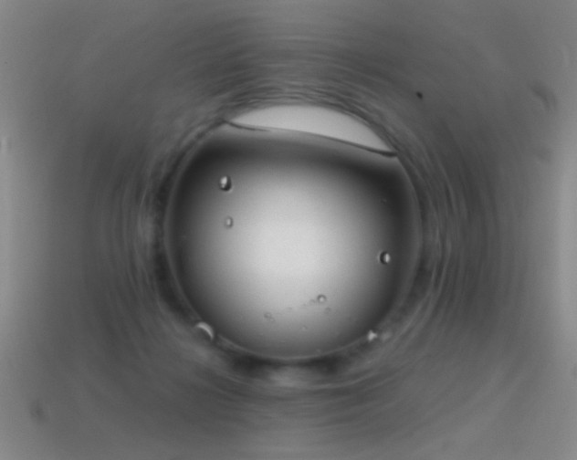 X0000114690268200910211318