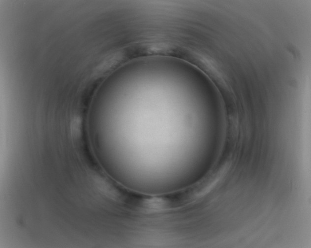 X0000114690269200910211318