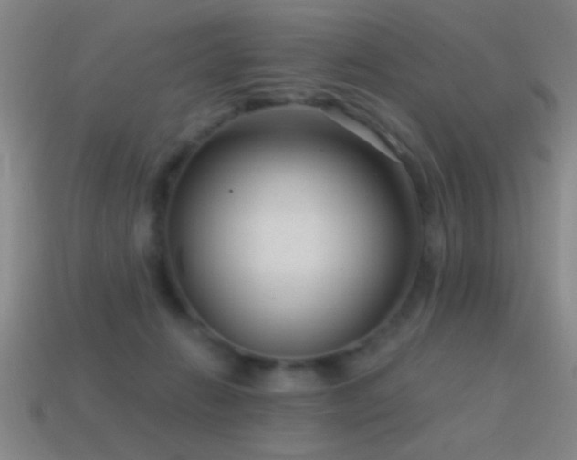 X0000114690270200910211318