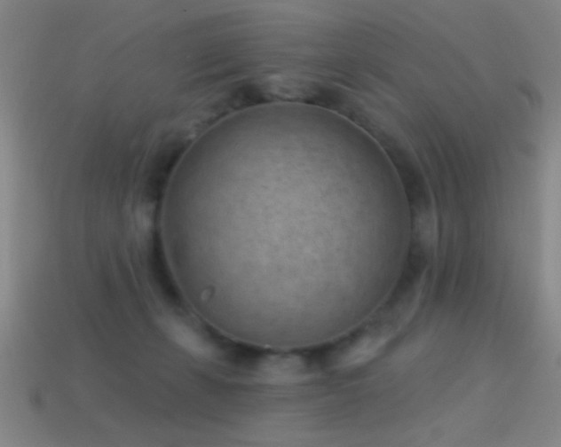 X0000114690271200910211318