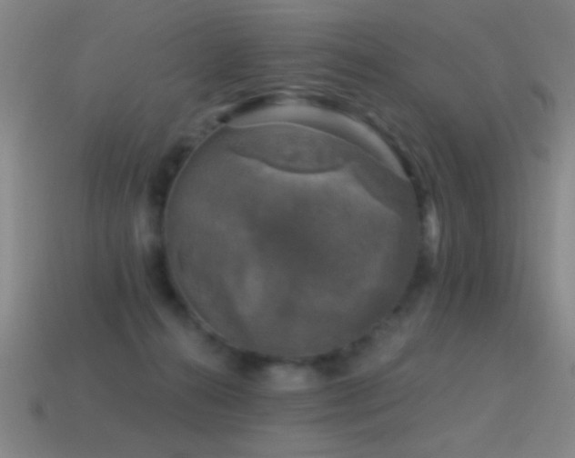 X0000114690272200910211318