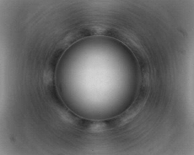 X0000114690274200910211318