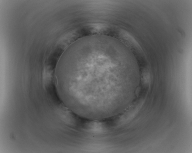 X0000114690276200910211319