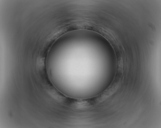 X0000114690278200910211319