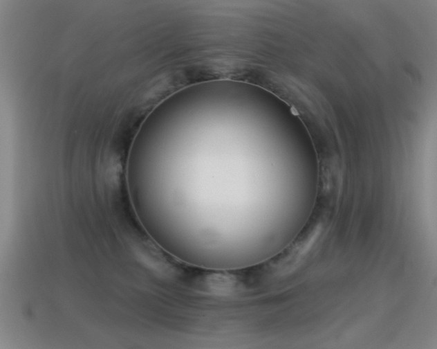 X0000114690279200910211319