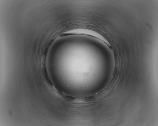 X0000114690280200910211319