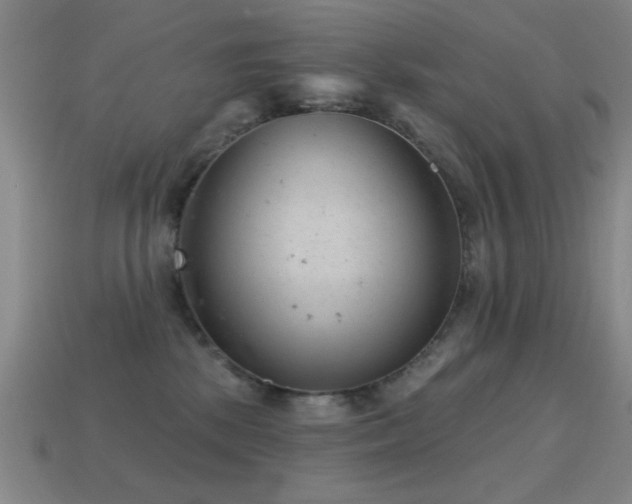 X0000114690281200910211319
