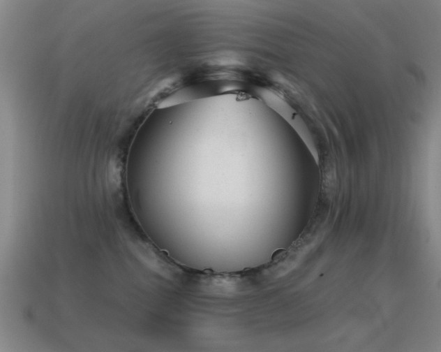 X0000114690282200910211319