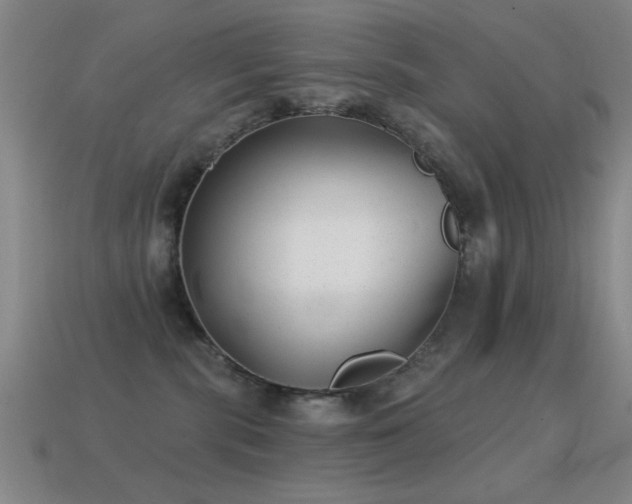 X0000114690283200910211319