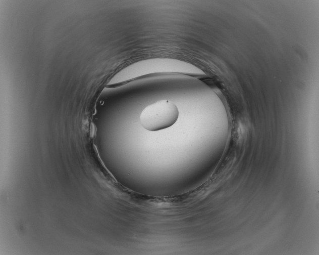 X0000114690284200910211319
