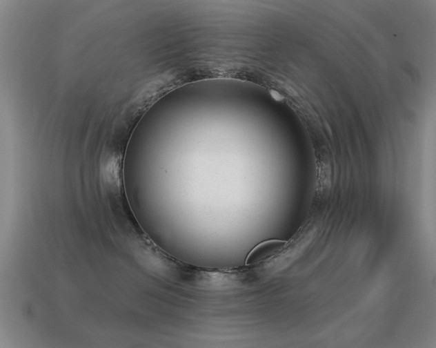 X0000114690286200910211319