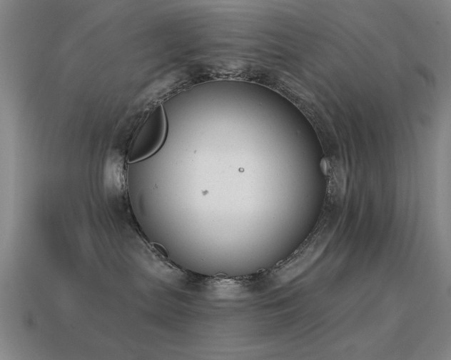 X0000114690287200910211319