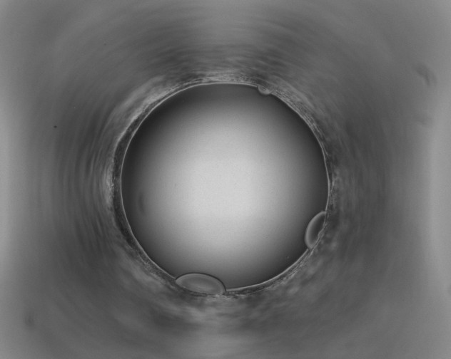 X0000114690290200910211318