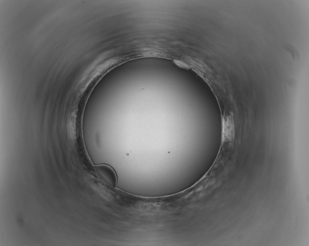 X0000114690291200910211318