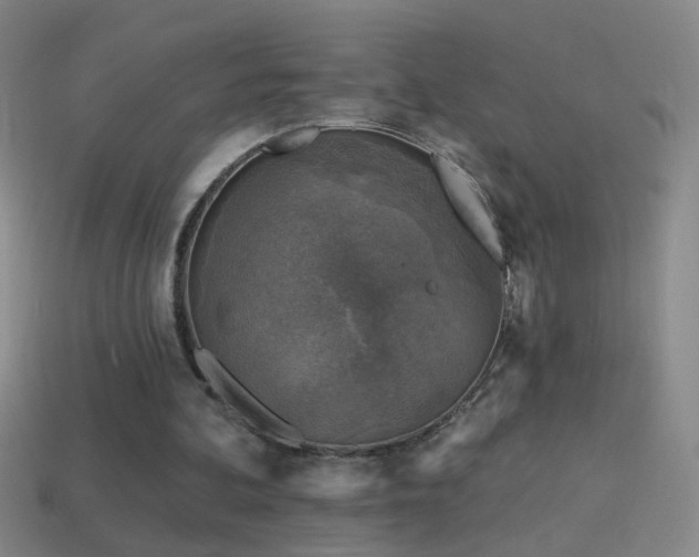 X0000114690292200910211318