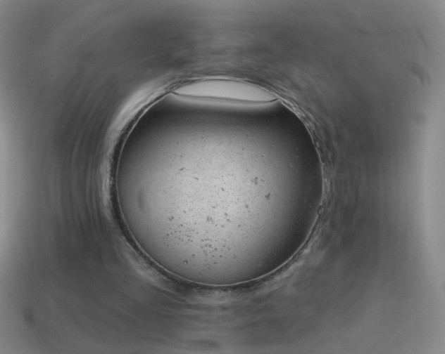 X0000114690293200910211318