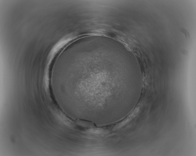 X0000114690294200910211318