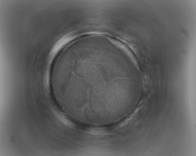 X0000114690296200910211318