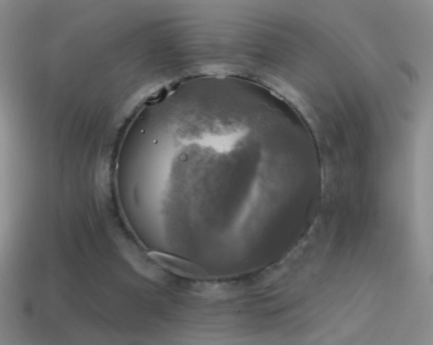 X0000114690297200910211318