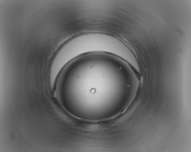 X0000114690301200910211318