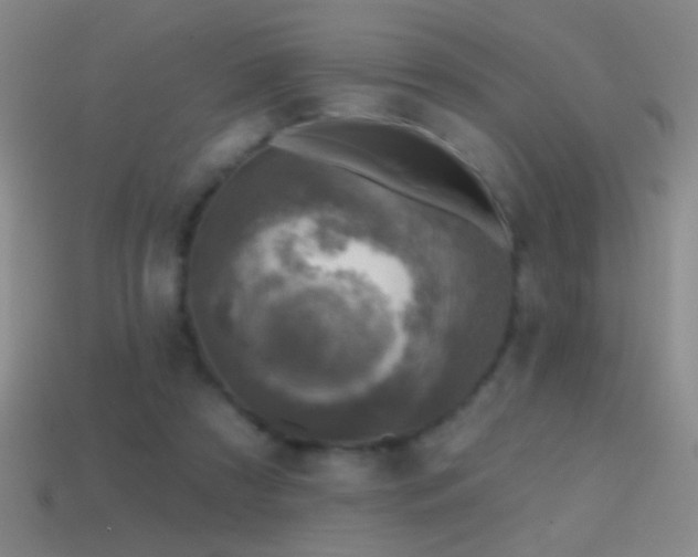 X0000114690305200910211318