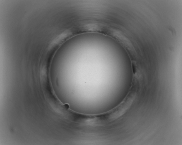X0000114690306200910211318