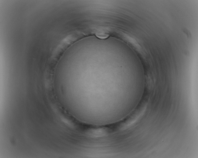 X0000114690307200910211318