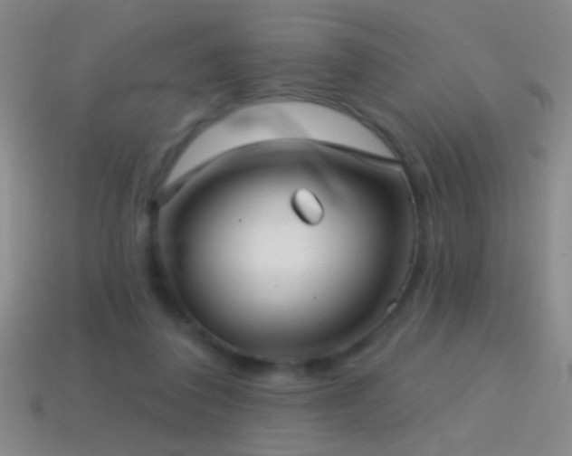X0000114690308200910211318