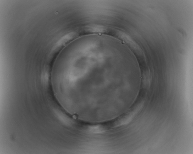 X0000114690309200910211318