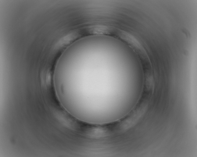 X0000114690310200910211318
