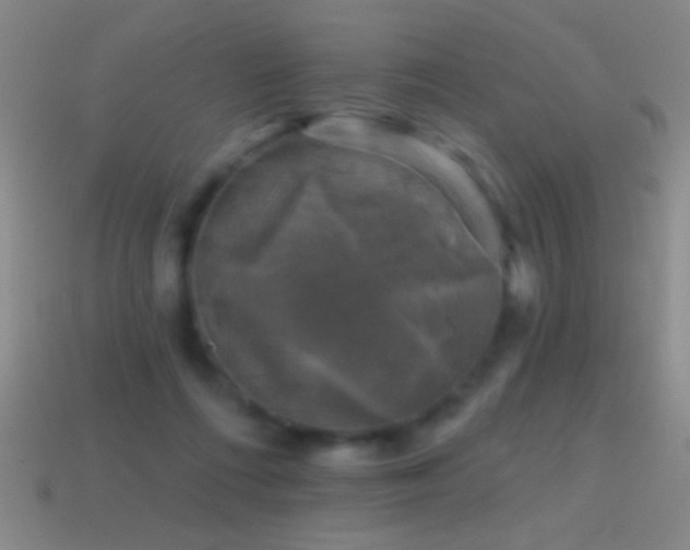 X0000114690312200910211318